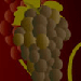 Divine Wine